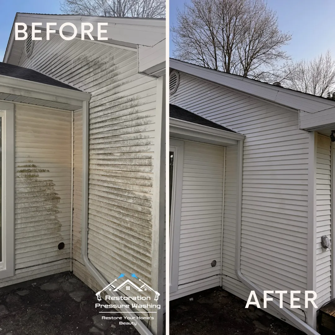 House washing before and after — algae removed from siding